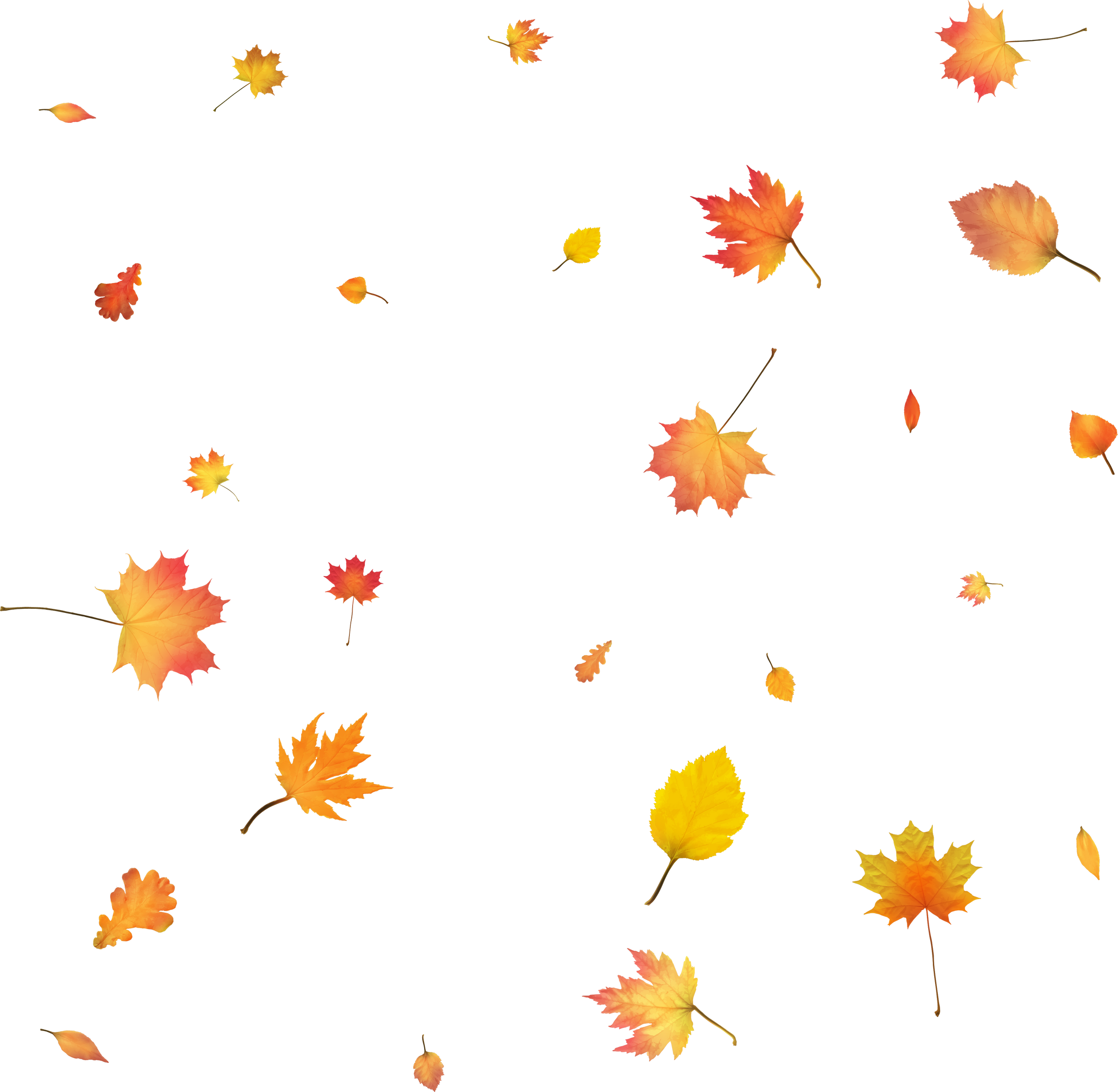 Autumn Background